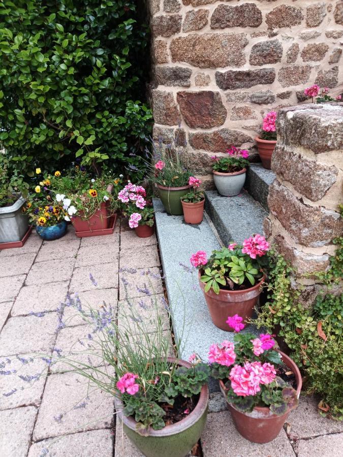 Villa La Cote Du Chat 3* En Bretagne Romantique Hédé 外观 照片